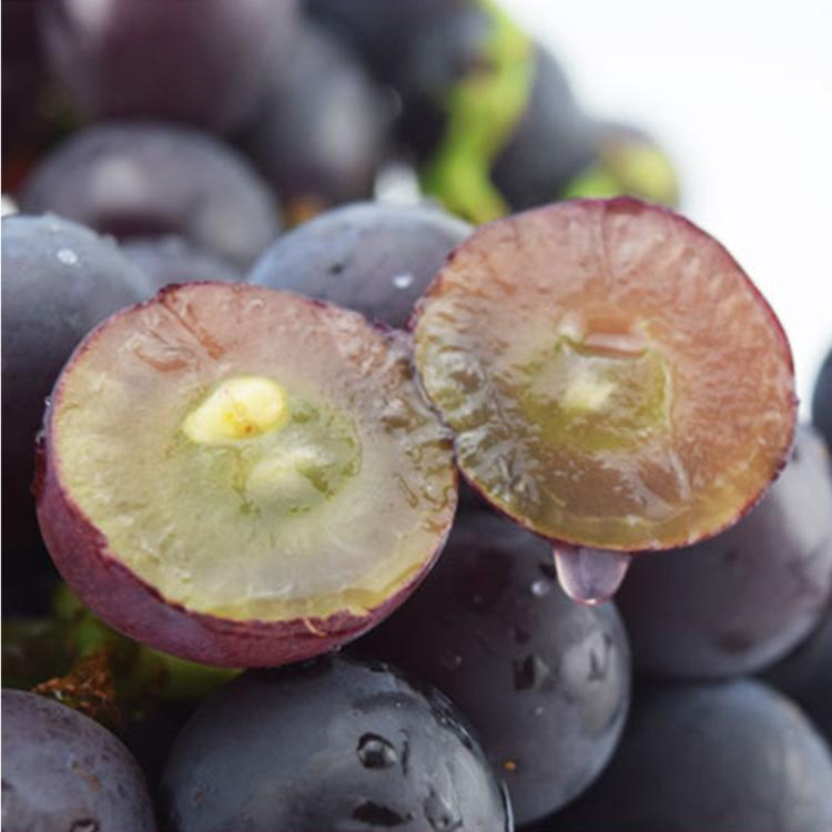 果之家 台灣溪洲高級巨峰葡萄10台斤(約10-14房)