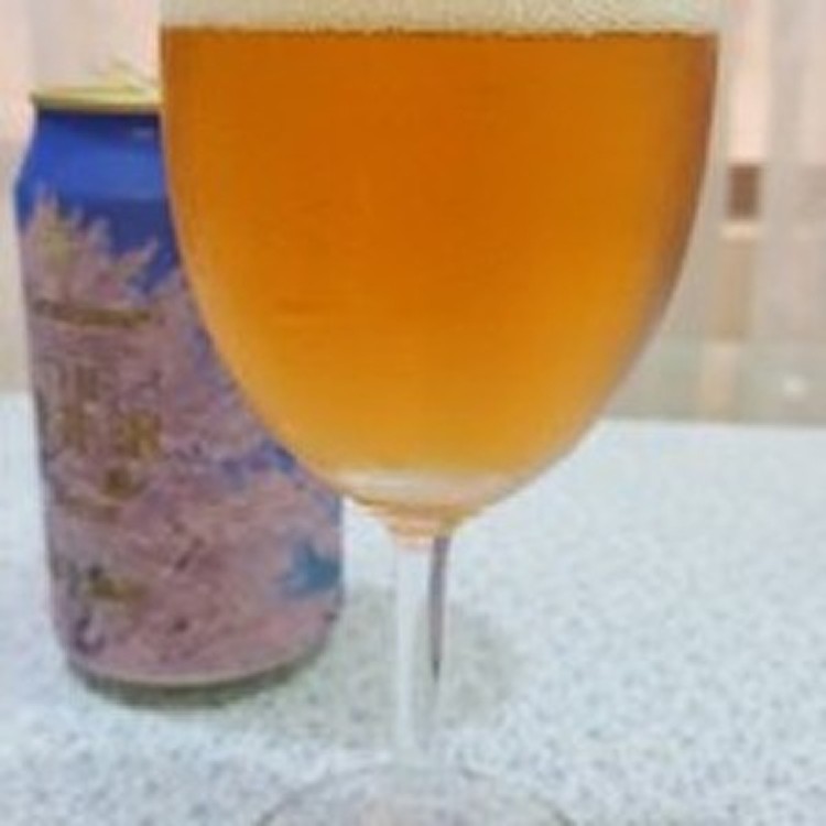 高檔日本輕井澤高級精釀酒