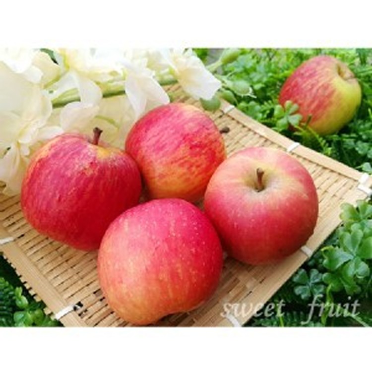 【鮮瑩】迷你高山無蠟蜜蘋果