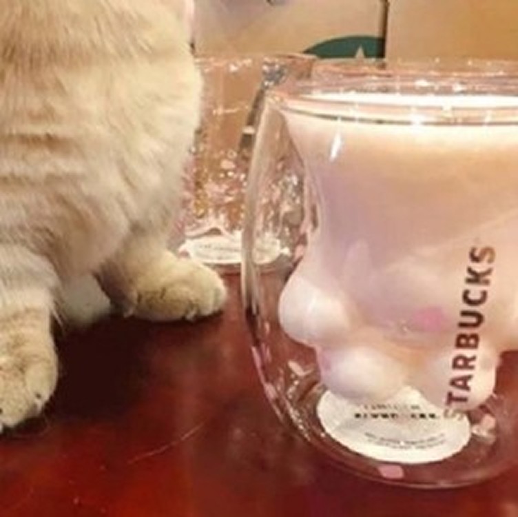 星巴克櫻花貓爪杯250ML