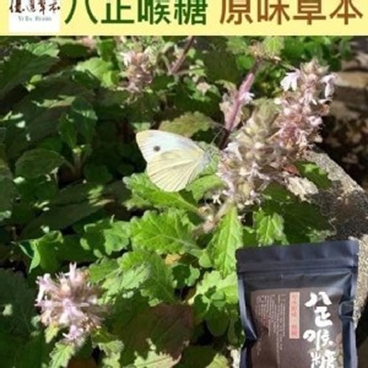 億達草本八正喉糖(20入/包)