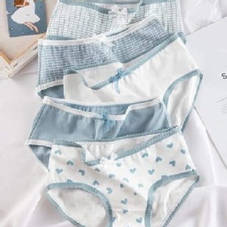 清新少女三角蕾絲綿內褲(一組5件)