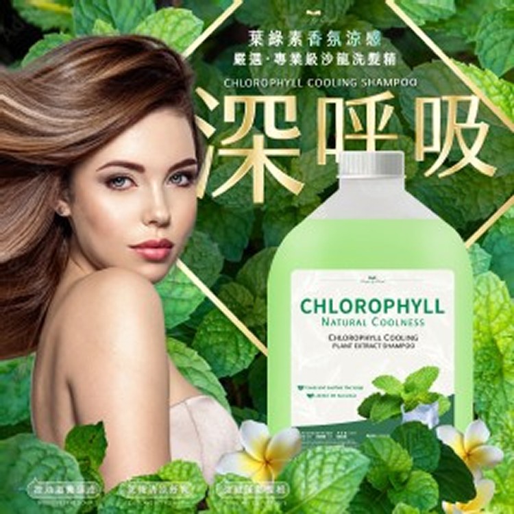葉綠素香氛涼感專業級沙龍洗髮精3500ml