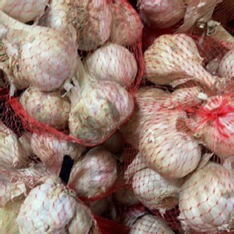 大顆蒜頭🇹🇼雲林崙背蒜頭600g (1斤)🧄