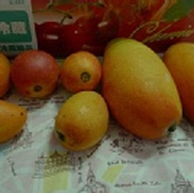 ~在欉黃~ 大鵝蛋芒果(農民黨1號)