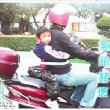 摩托車安全帶雙重固定