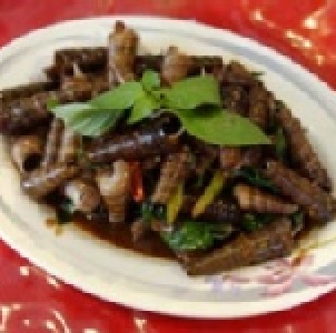 絕頂九層螺-專門批發