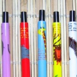 韓版 非洲動物園 細長筆桿原子筆