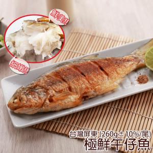 免運!【海鮮一番】台灣屏東極鮮海水午仔魚 (午魚) 260g/尾 (80包，每包113.5元)