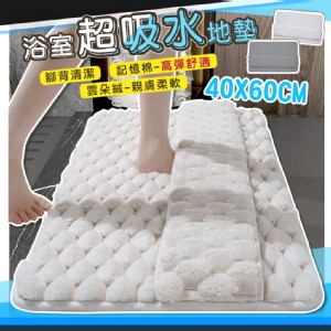 【QIDINA】雲朵絨厚款軟綿綿吸水地墊-A