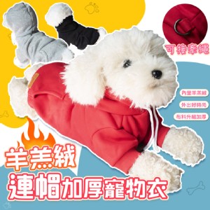 【QIDINA】寵物羊羔絨連帽加厚鋪棉保暖衣 寵物衣-J