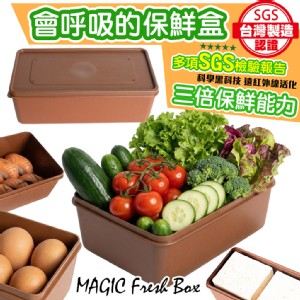 【QIDINA】台灣製SGS保鮮神器生鮮延長保鮮盒