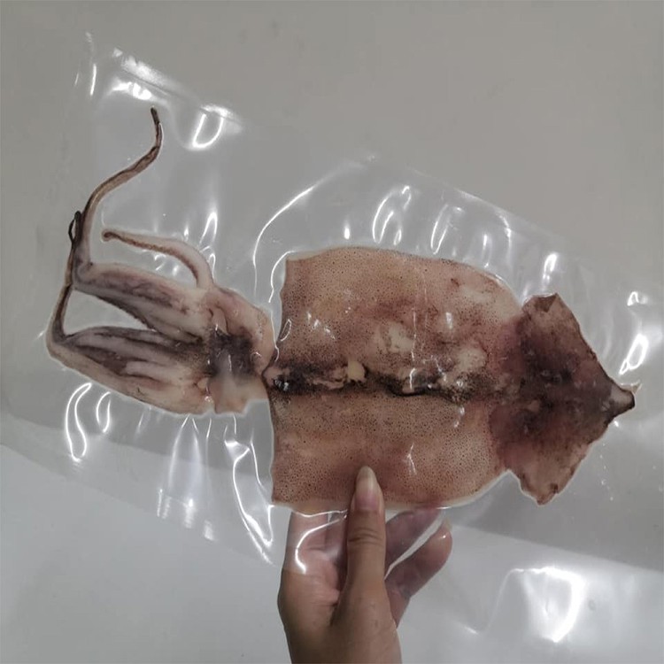 阿根廷魷魚一夜干