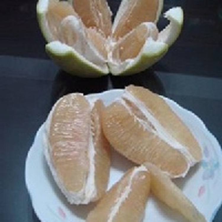 麻豆文旦10斤裝