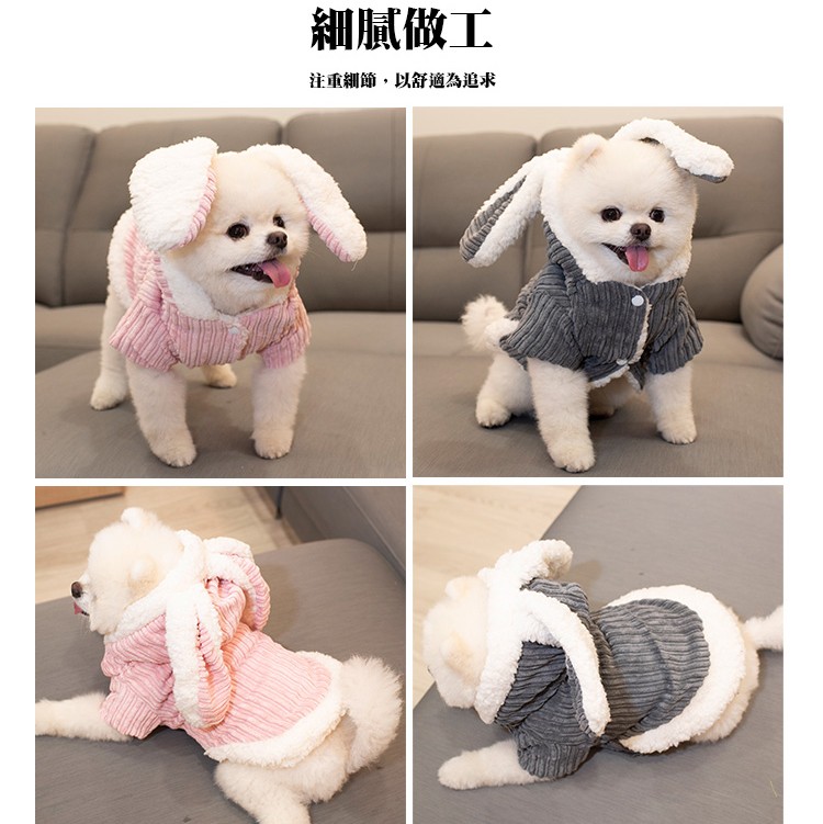 【QIDINA】寵物保暖變身兔子裝(4尺寸任選)