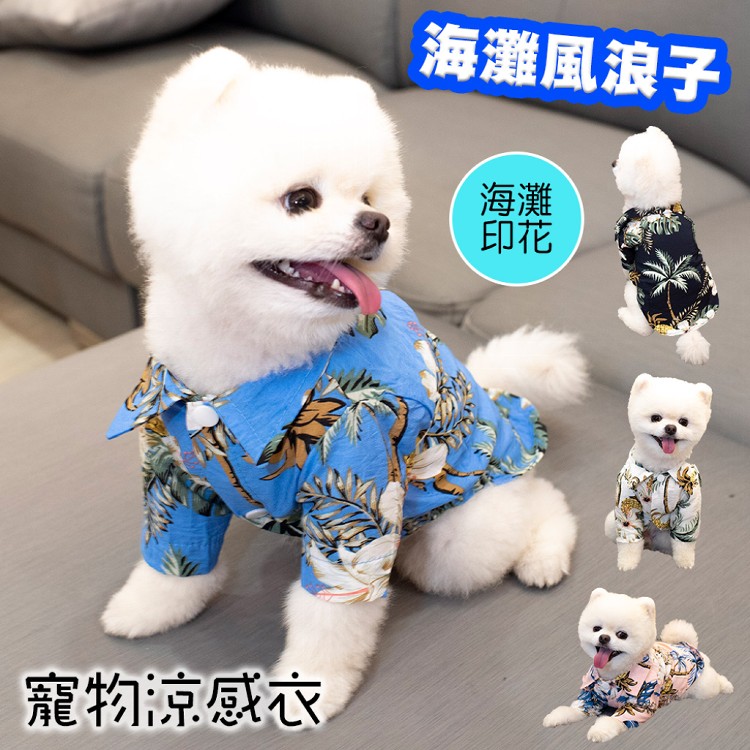 免運!【QIDINA】海灘風浪子寵物涼感衣 M /L /XL  (12入,每入132.6元)