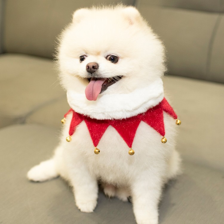 【QIDINA】寵物聖誕領巾項圈聖誕配件 寵物配件-A