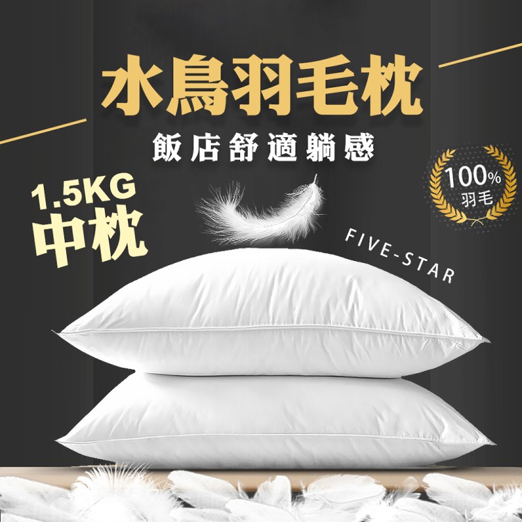 【QIDINA】MIT頂級水鳥羽毛枕飯店枕頭 羽毛枕 中枕-SUD