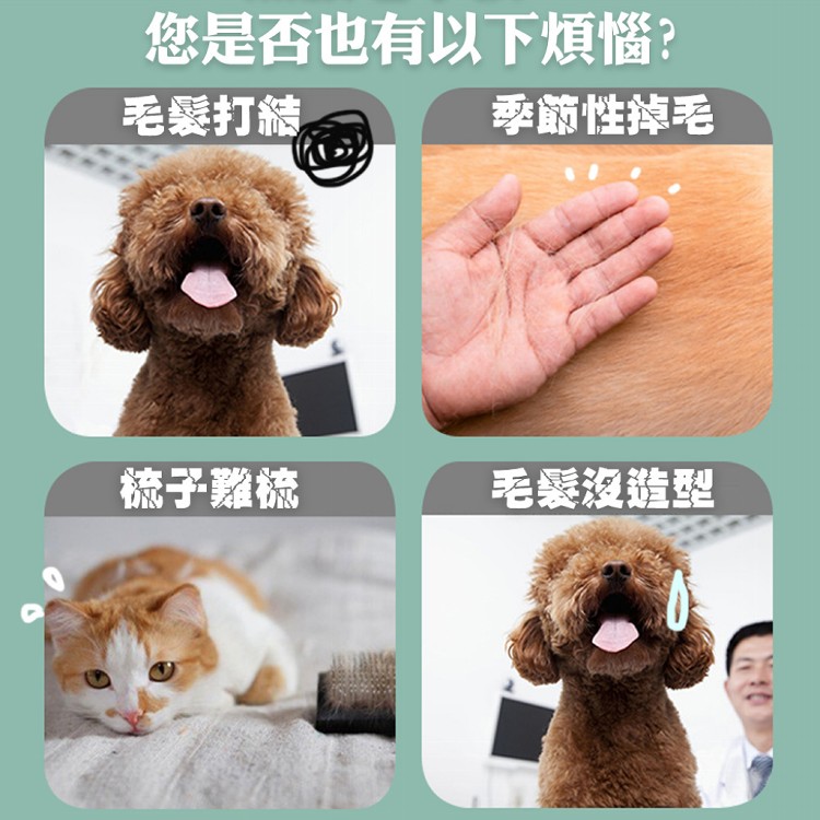 【QIDINA】寵物理毛梳一鍵清理毛髮