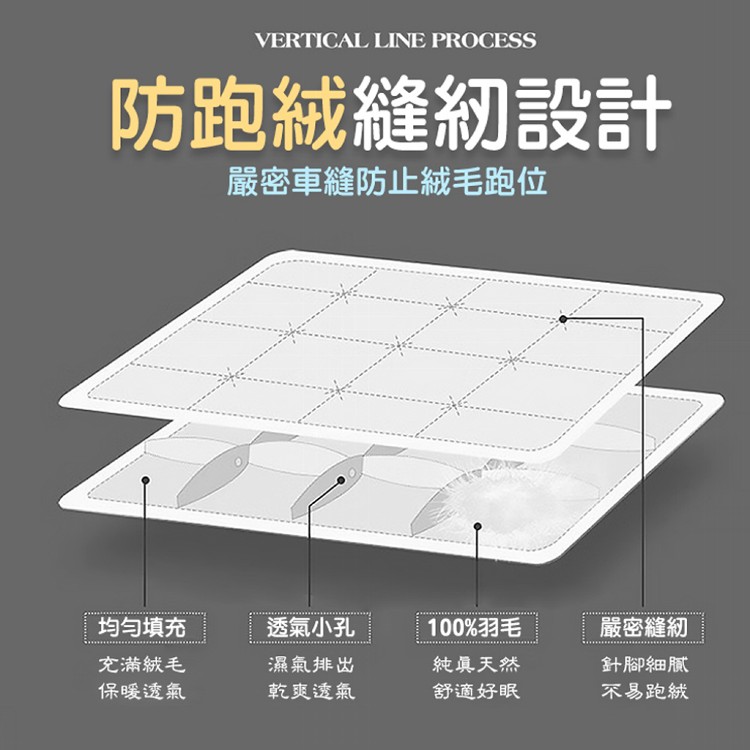 【QIDINA】MIT-100%水鳥羽絨棉被SUD-A