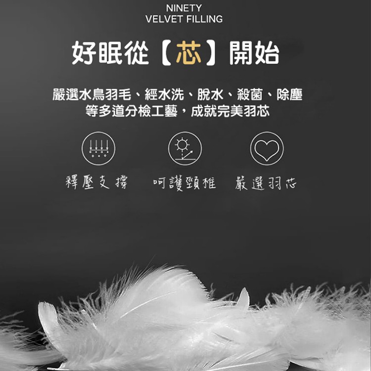 【QIDINA】MIT-100%水鳥羽絨棉被SUD-A