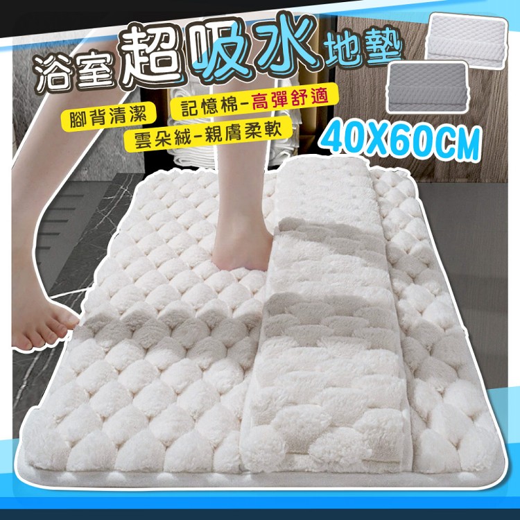 【QIDINA】雲朵絨厚款軟綿綿吸水地墊-A