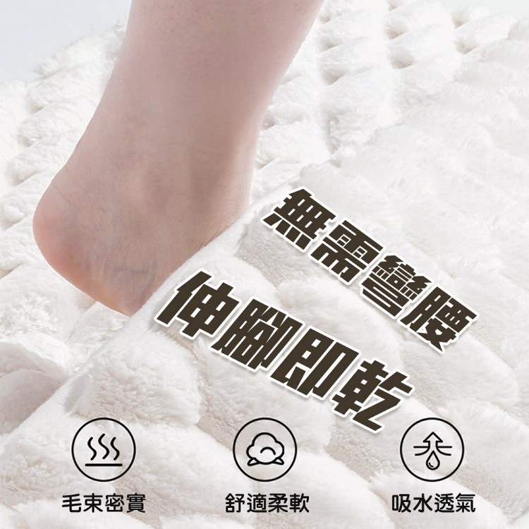 【QIDINA】雲朵絨厚款軟綿綿吸水地墊-A