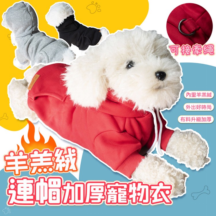 【QIDINA】寵物羊羔絨連帽加厚鋪棉保暖衣 寵物衣-J