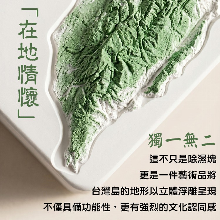 【QIDINA】SGS台灣造型防霉除臭硅藻土除濕神器