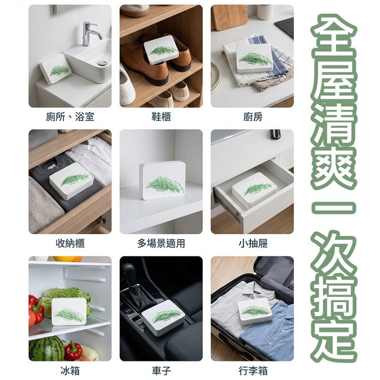 【QIDINA】SGS台灣造型防霉除臭硅藻土除濕神器
