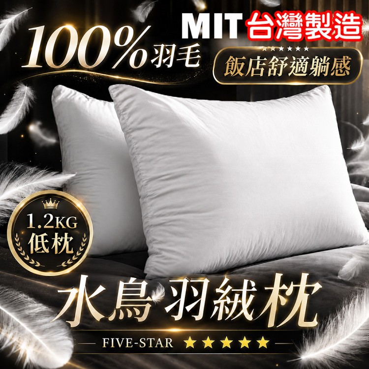【QIDINA】MIT頂級水鳥羽毛枕飯店枕頭 羽毛枕 低枕-SUD