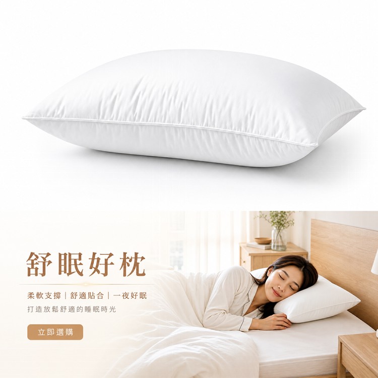 【QIDINA】MIT頂級水鳥羽毛枕飯店枕頭 羽毛枕 低枕-SUD