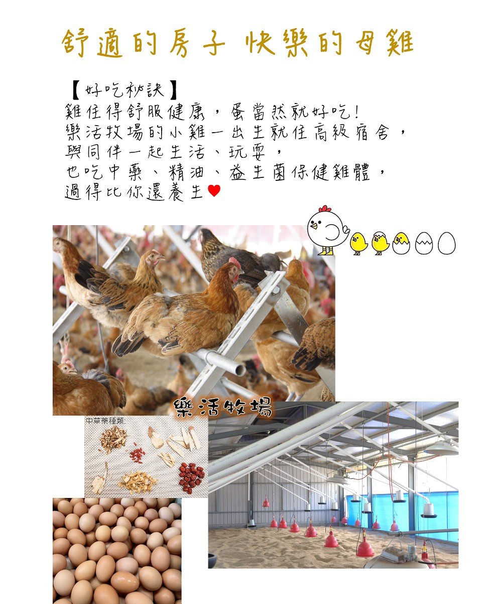 舒適的房子快樂的母雞，【好吃秘訣】，雞住得舒服健原,蛋當然就好。吃!紫活牧場时小雞一出主就住高級宿舍,奥同件一起生活，也吃中藥、精油、益王菌保健雞體,過得比你還養 王。中草藥種類:。