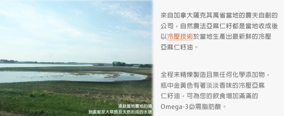 遠赴當地實地拍攝，到處都是大草原及天然形成的水塘，來自加拿大薩克其萬省當地的農夫自創的，公司,自然農法亞麻仁籽都是當地收成後，以冷壓技術於當地生產出最新鮮的冷壓，亞麻仁籽油。全程未精煉製造且無任何化學添加物,瓶中金黃色有著淡淡香味的冷壓亞麻，仁籽油,
