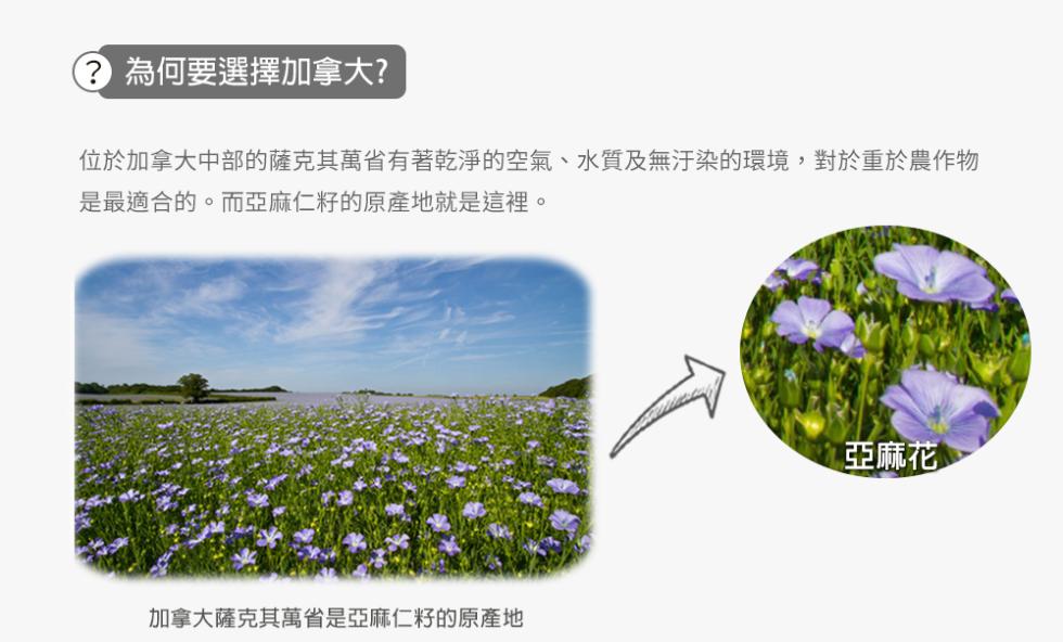 ④ 為何要選擇加拿大?位於加拿大中部的薩克其萬省有著乾淨的空氣、水質及無汙染的環境,對於重於農作物，是最適合的。而亞麻仁籽的原產地就是這裡。加拿大薩克其萬省是亞麻仁籽的原產地，亞麻花。