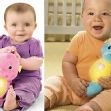 費雪聲光安撫小海馬 特價：$550