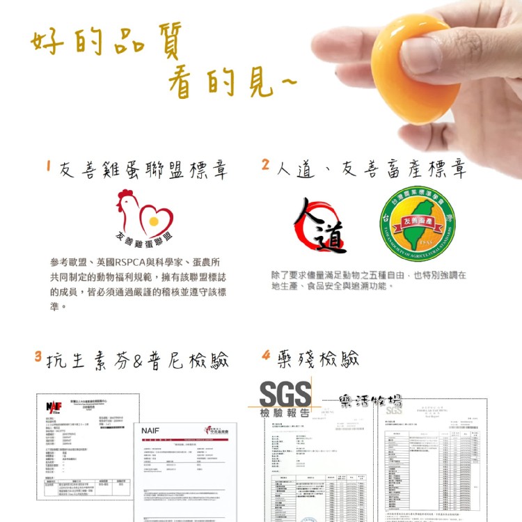 【樂活牧場】桐花蛋、友善雞蛋聯盟SGS雙認證