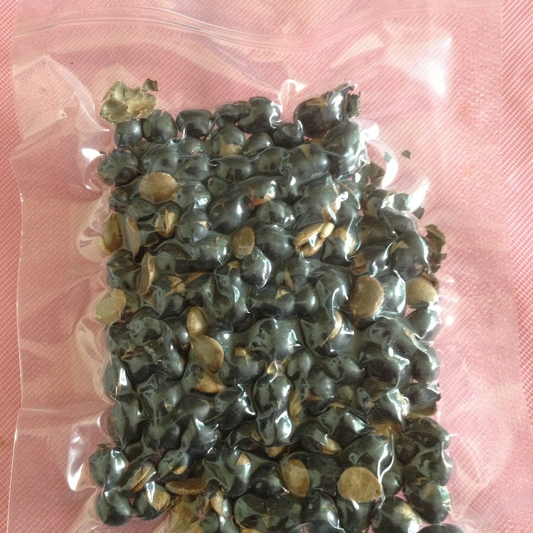[嚴選]老師傅青仁黑豆茶240克~~特選台南三號青仁黑豆~~低溫烘培讓黑豆散發天然香味~~養生與健康