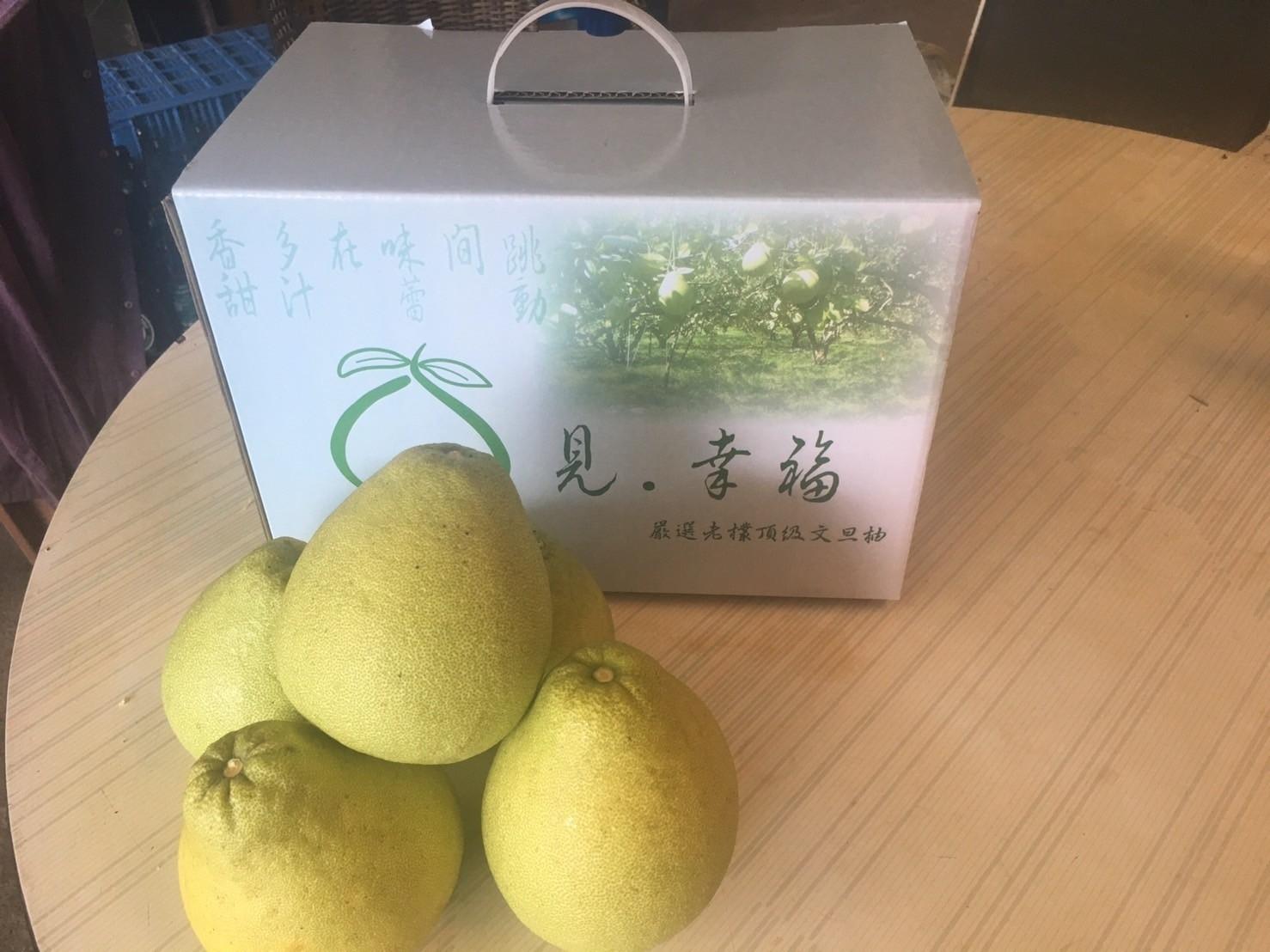 見.幸福，嚴選老欉顶级文旦柚。