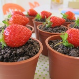 【木匠手作】提拉米蘇大湖草莓 10盒以上