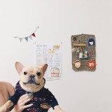 裝飾小物 特價：$900