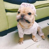 護手 特價：$100