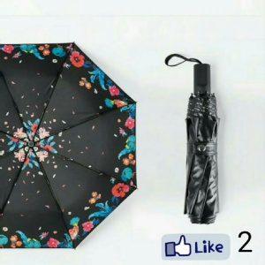 高質感美傘1號 特價：$390