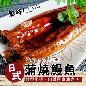 【歐嘉嚴選】頂級日式蒲燒鰻魚