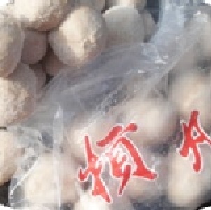 石家貢丸