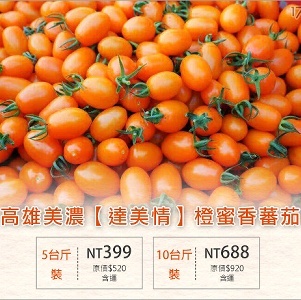 橙蜜番茄5斤裝