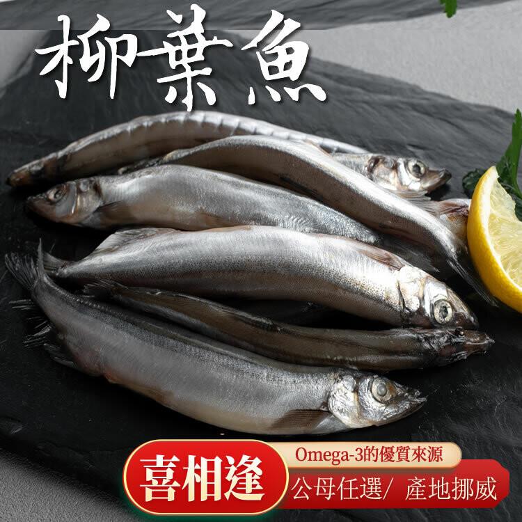 【挪威柳葉魚】(公母任選)600-1000克