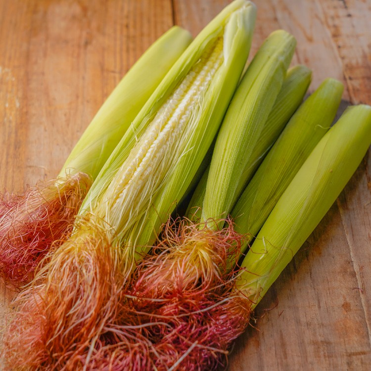 【Food-X 】新鮮蔬食箱＋專業水洗裁切葉菜 (期間限定好禮加碼)