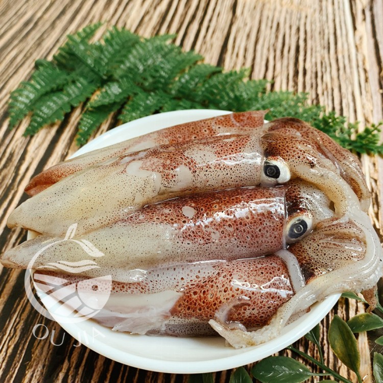 【歐嘉嚴選】當季鮮凍小卷