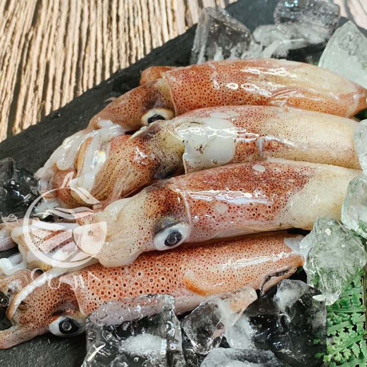 【歐嘉嚴選】當季鮮凍小卷